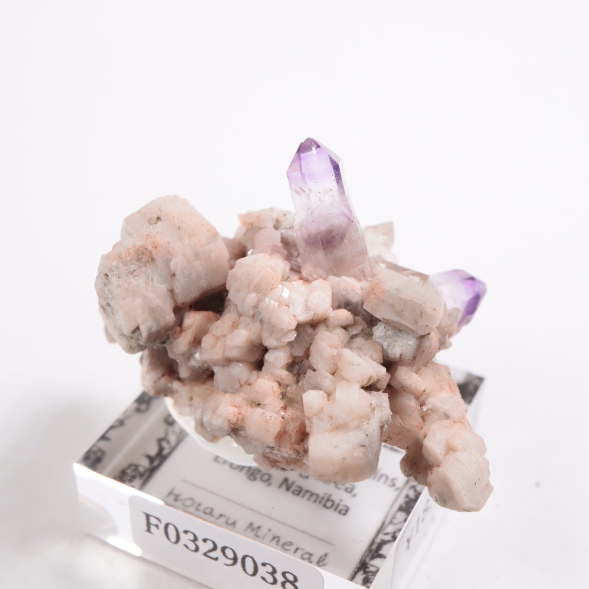 �֥��ɥС�����  ���᥷����