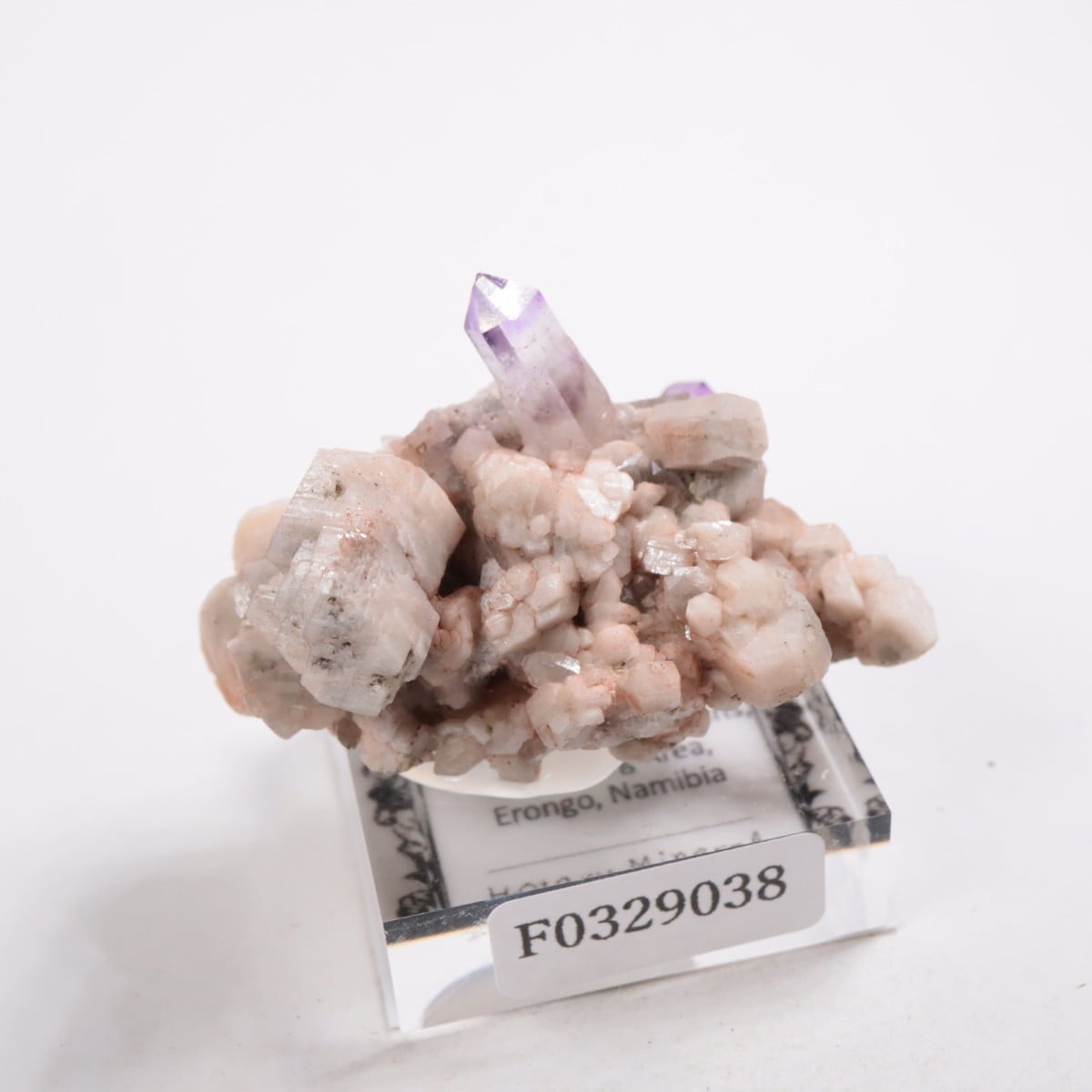 �֥��ɥС�����  ���᥷����