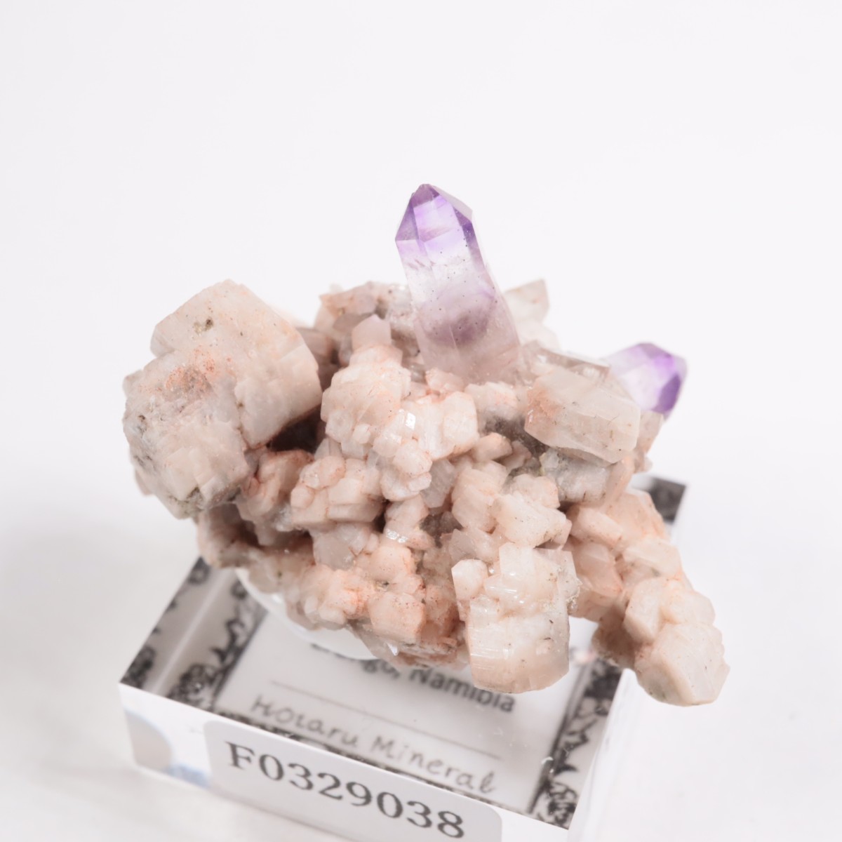 �֥��ɥС�����  ���᥷����