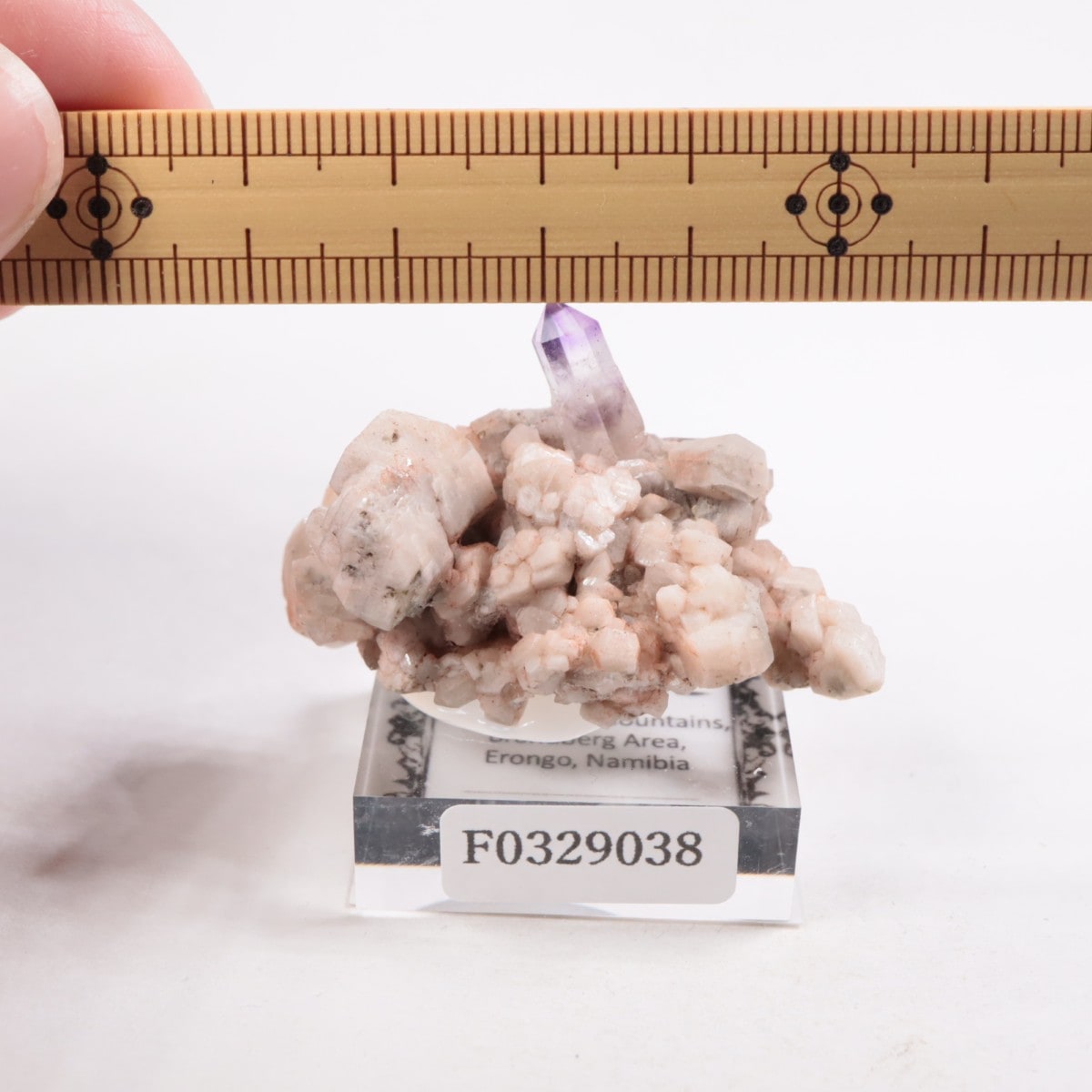 �֥��ɥС�����  ���᥷����