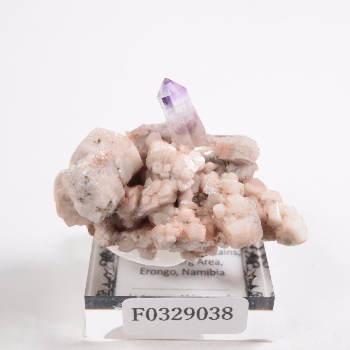 �֥��ɥС�����  ���᥷����