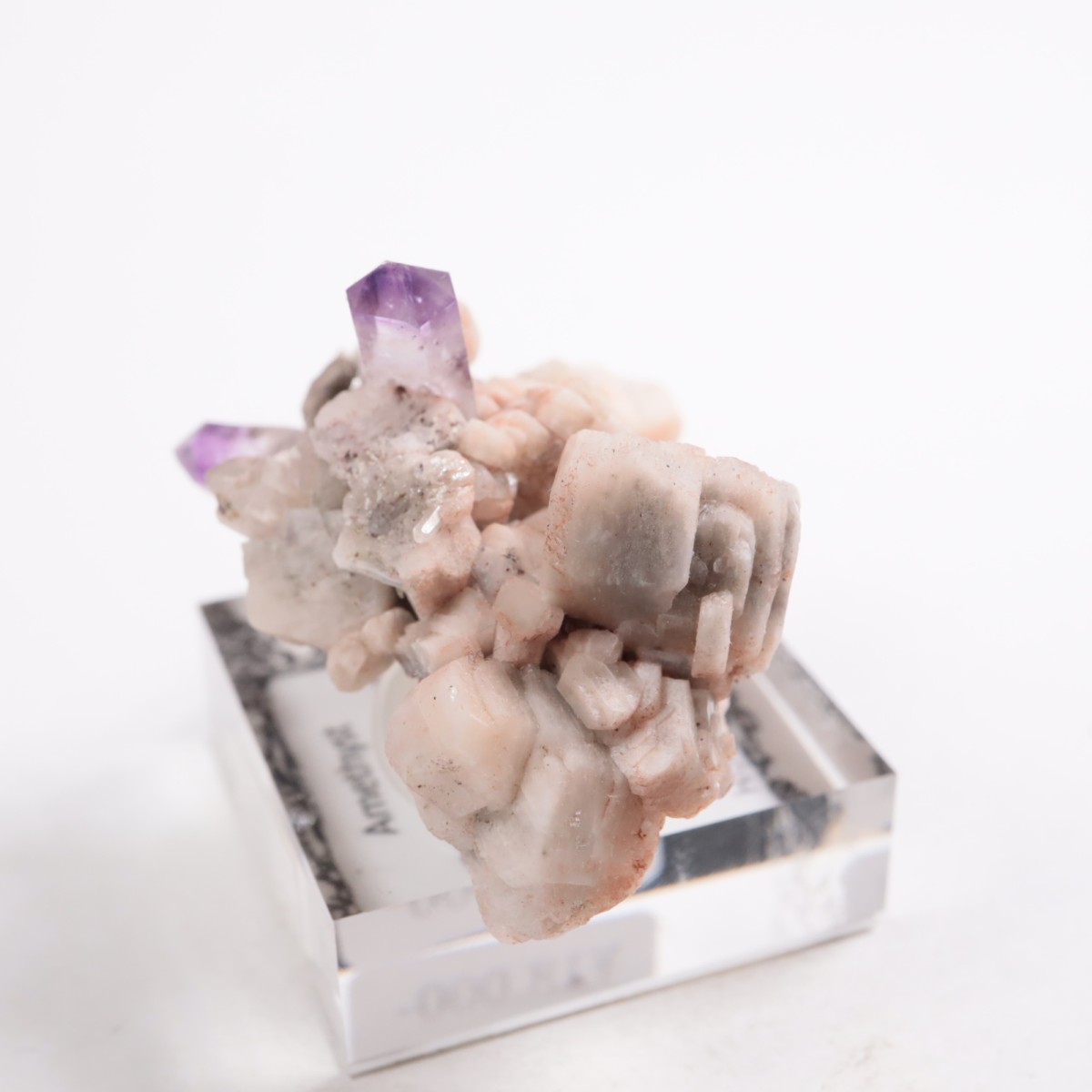 �֥��ɥС�����  ���᥷����