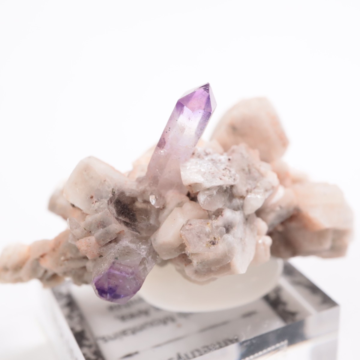 �֥��ɥС�����  ���᥷����