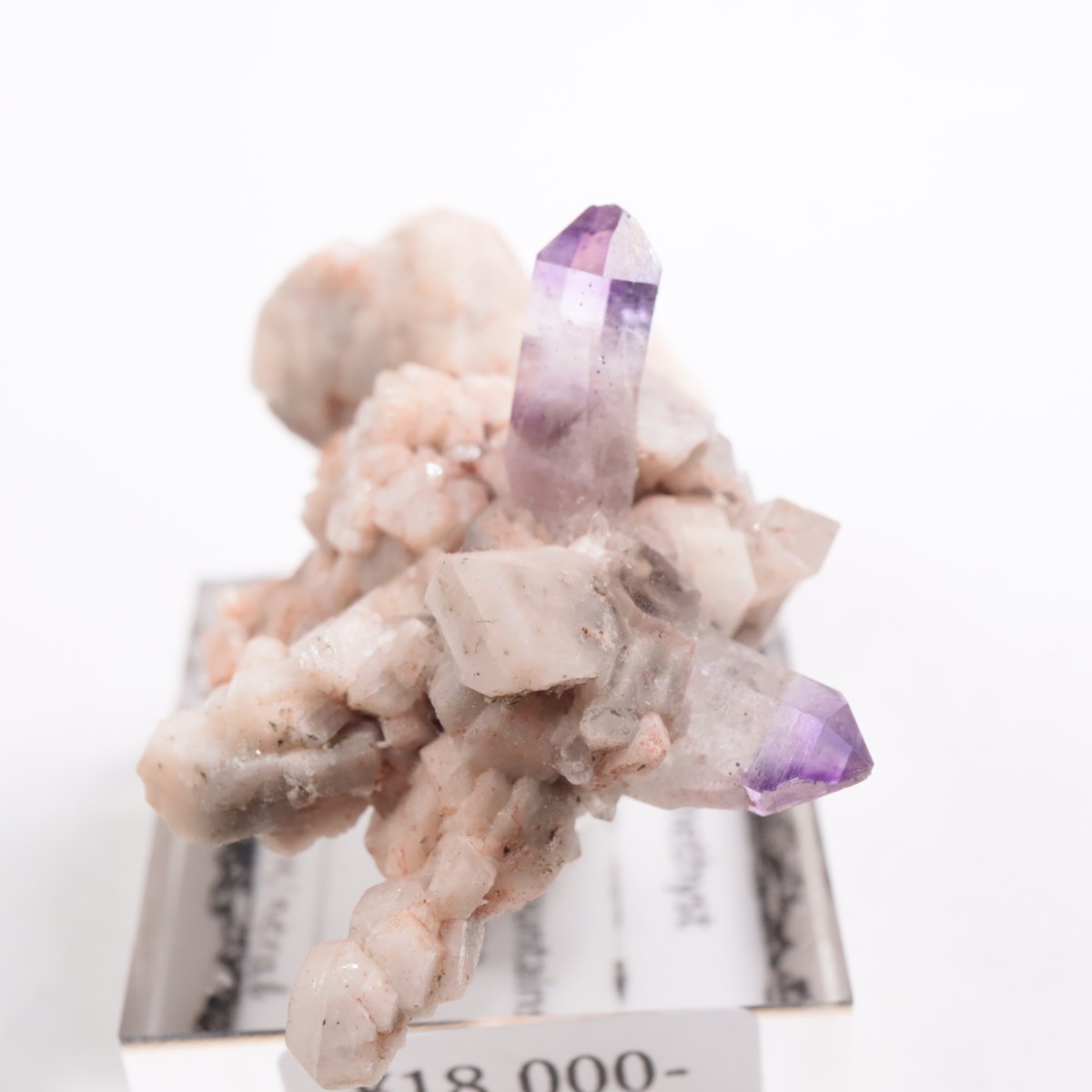 �֥��ɥС�����  ���᥷����