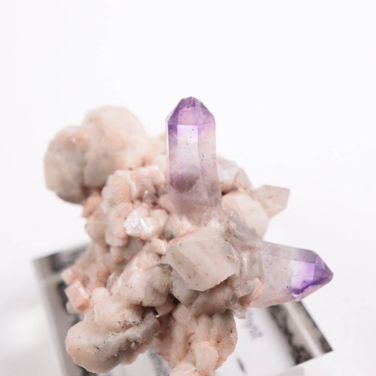 �֥��ɥС�����  ���᥷����