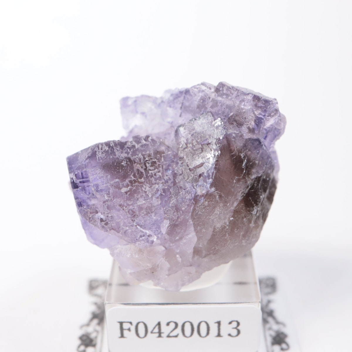 �ᥭ������ �ե����饤��