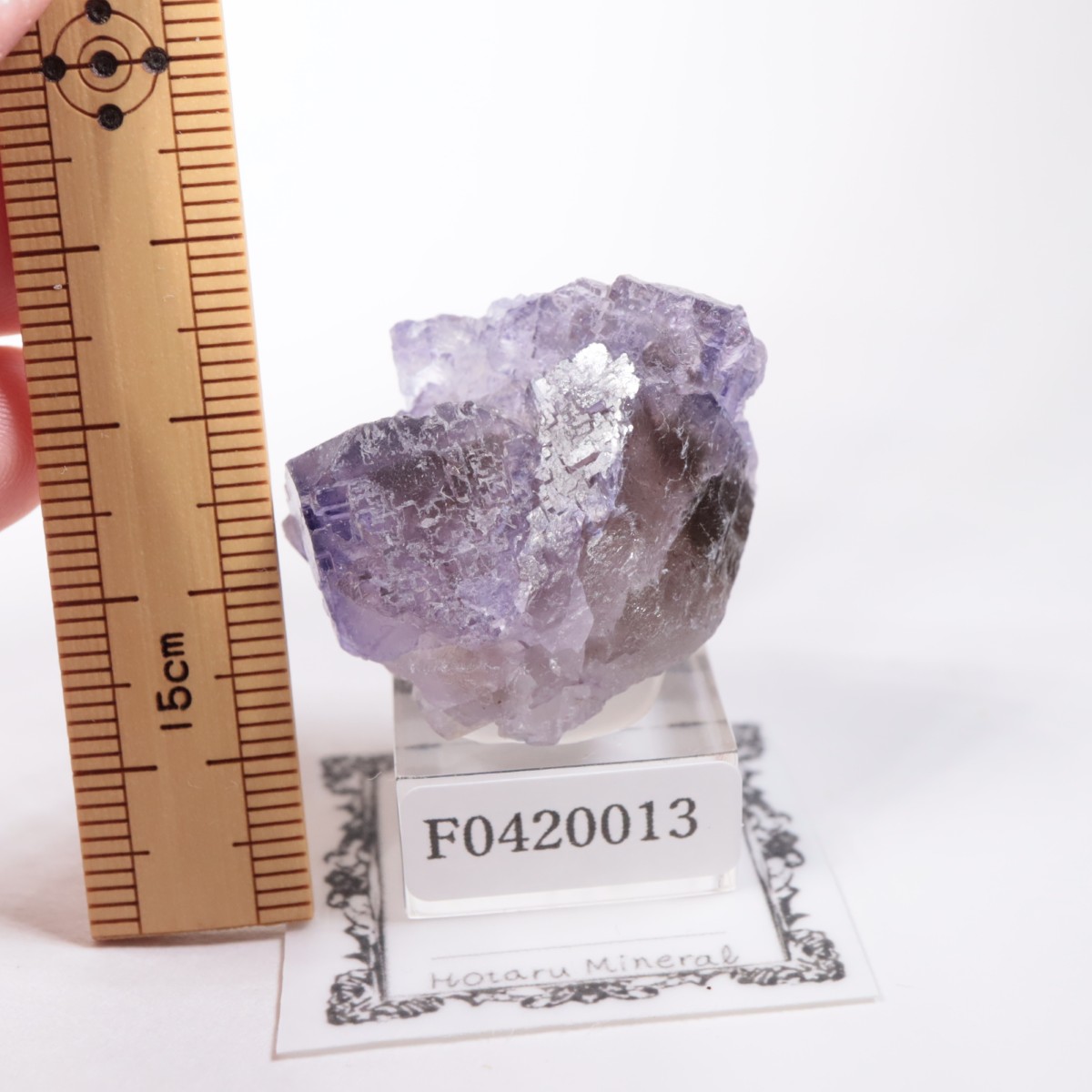 �ᥭ������ �ե����饤��