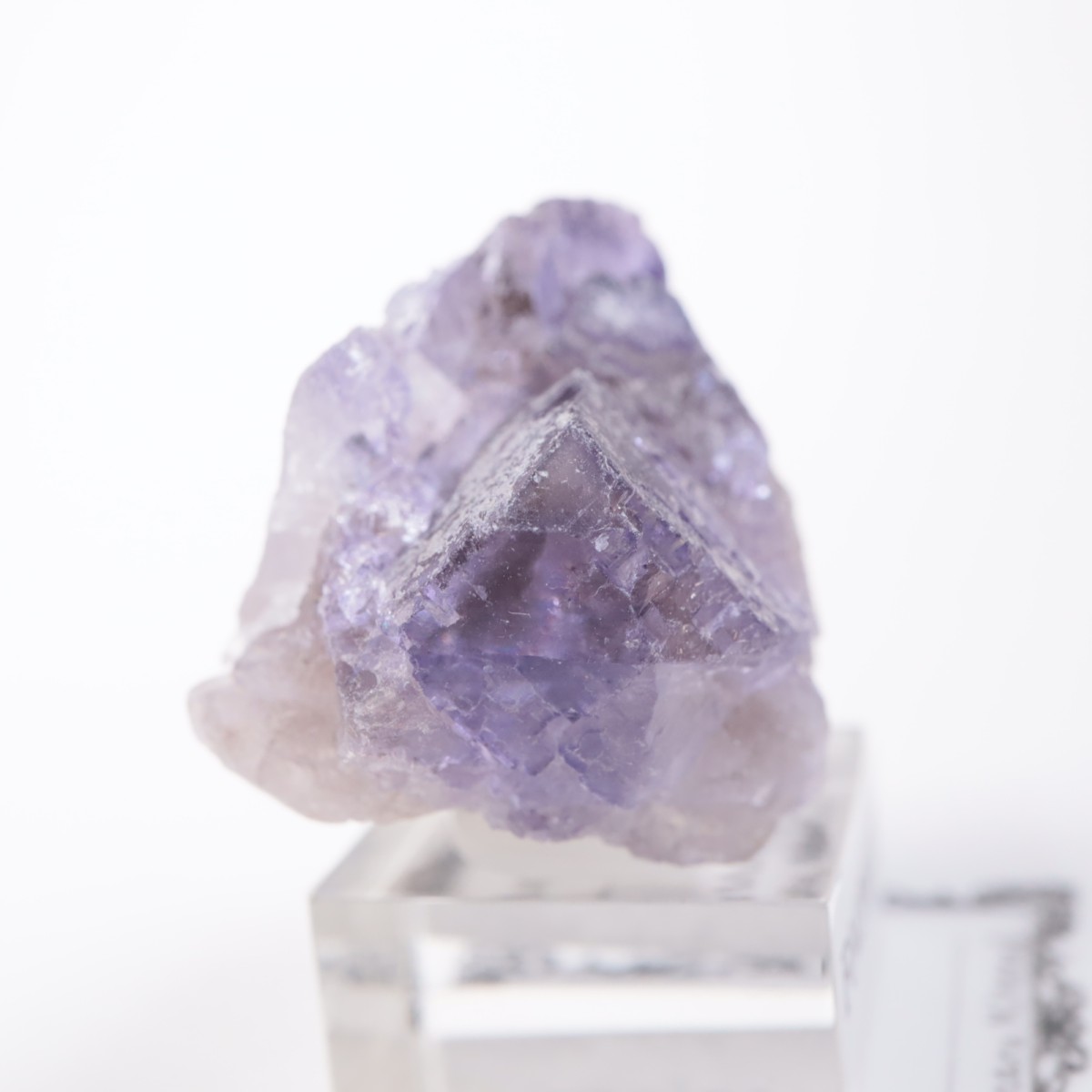 �ᥭ������ �ե����饤��