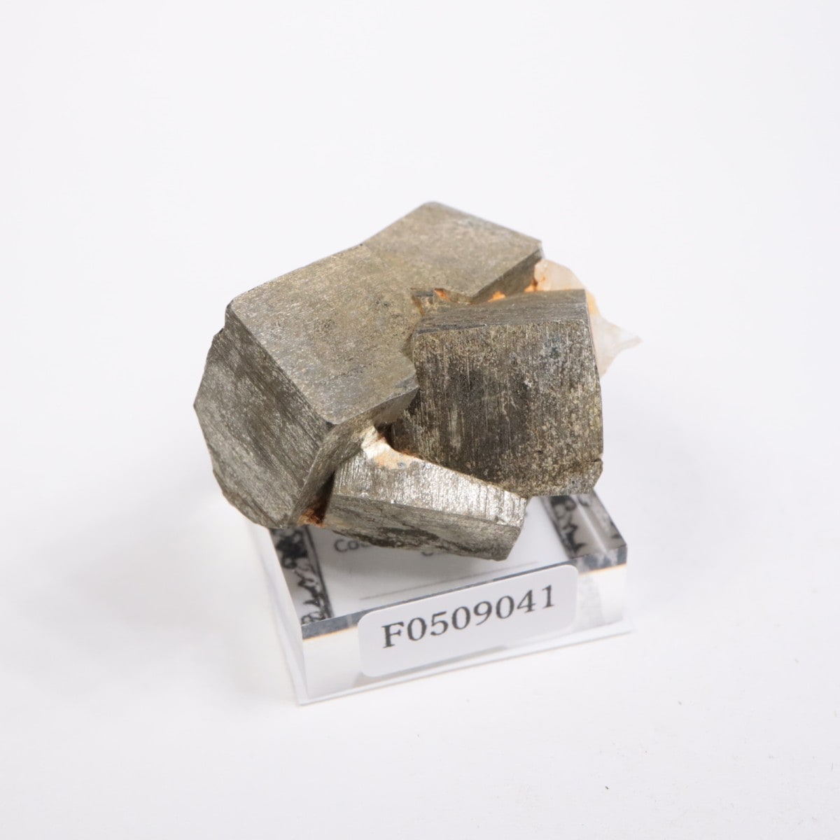 �亮��ȥ� �ѥ��饤��