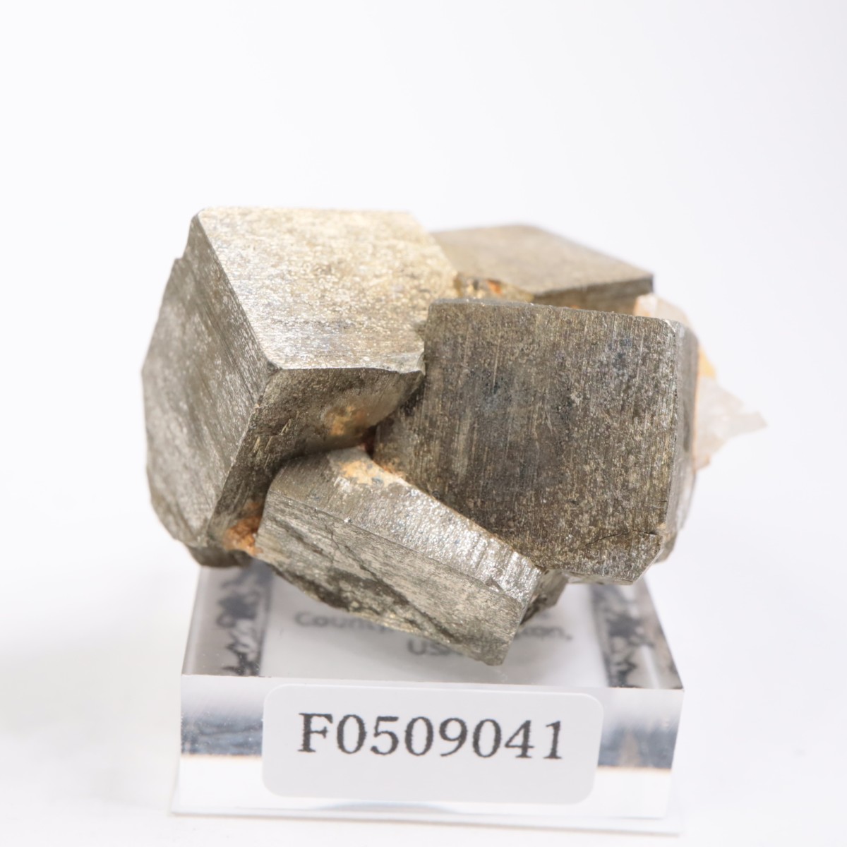 �亮��ȥ� �ѥ��饤��