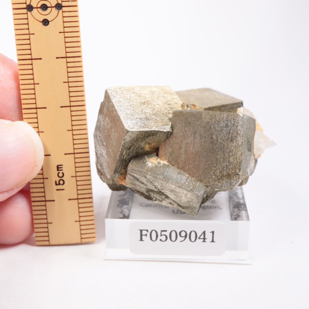 �亮��ȥ� �ѥ��饤��