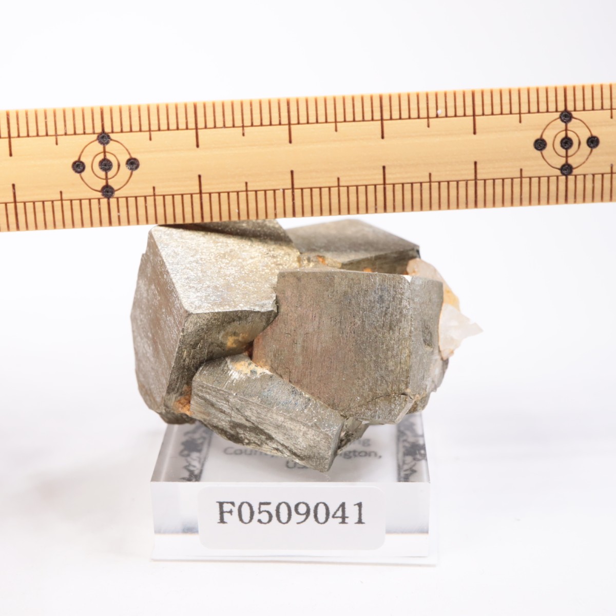 �亮��ȥ� �ѥ��饤��