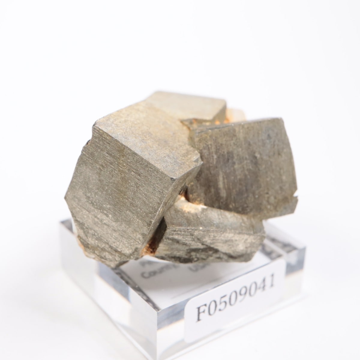 �亮��ȥ� �ѥ��饤��