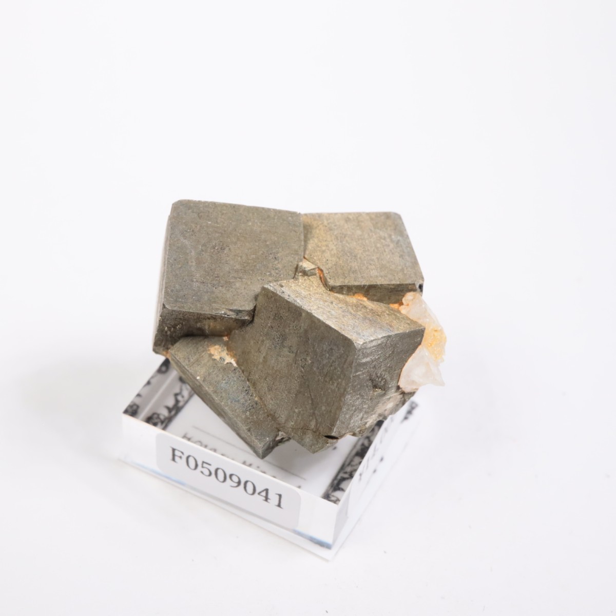 �亮��ȥ� �ѥ��饤��