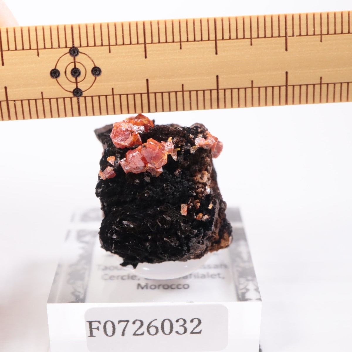 ����å��� �Хʥǥ��ʥ���