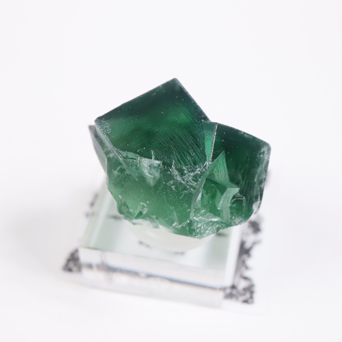 Greedy Hog Pocket�� �ե����饤��