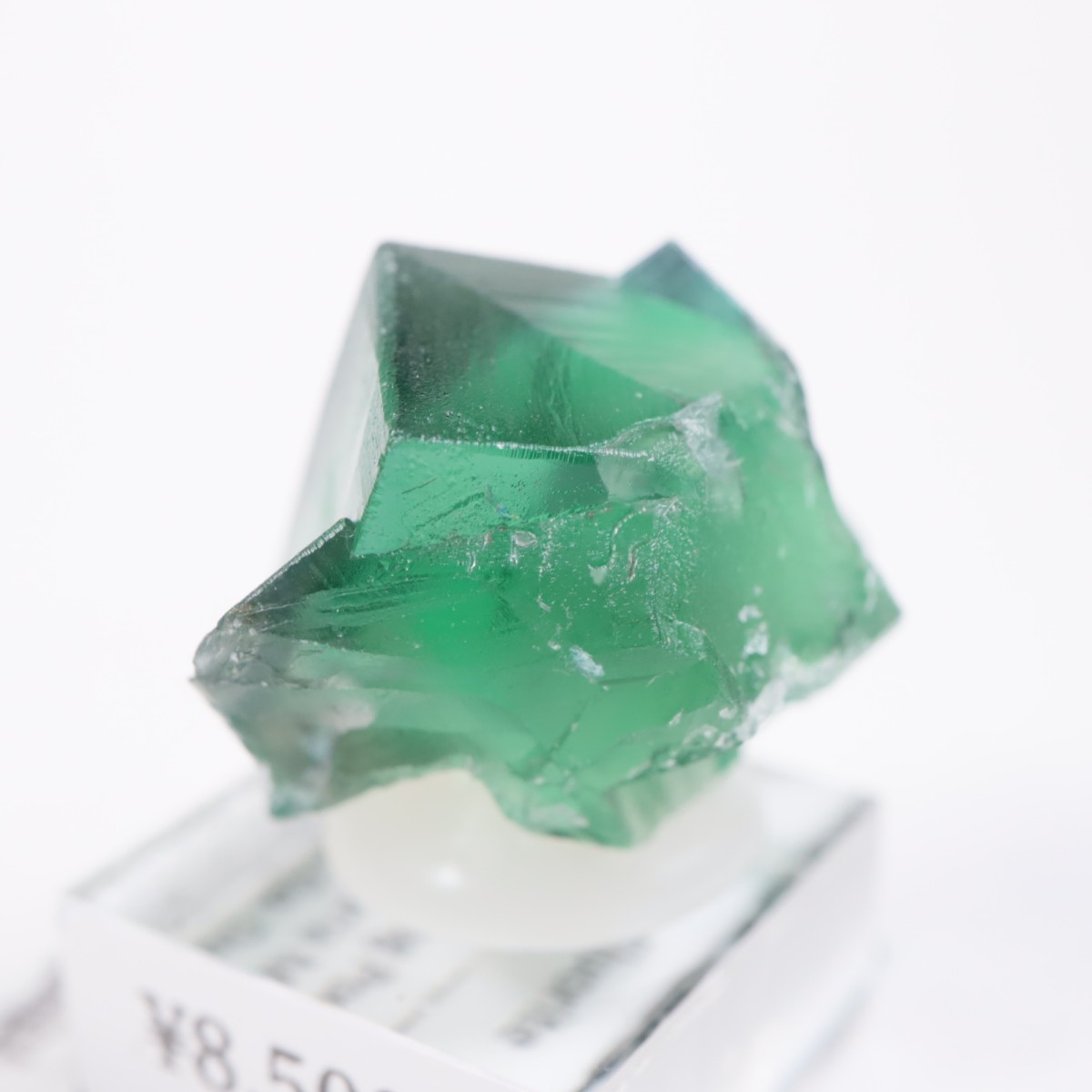 Greedy Hog Pocket�� �ե����饤��