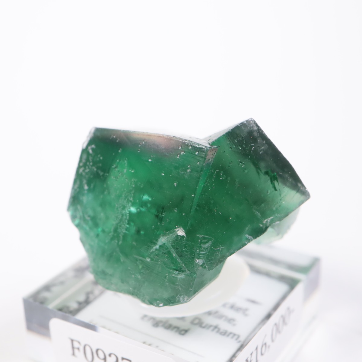 Greedy Hog Pocket�� �ե����饤��