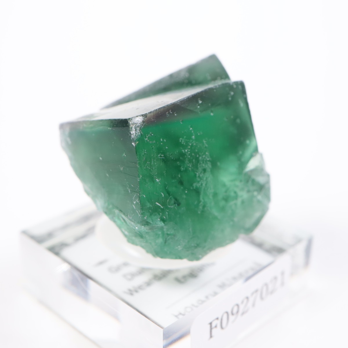 Greedy Hog Pocket�� �ե����饤��