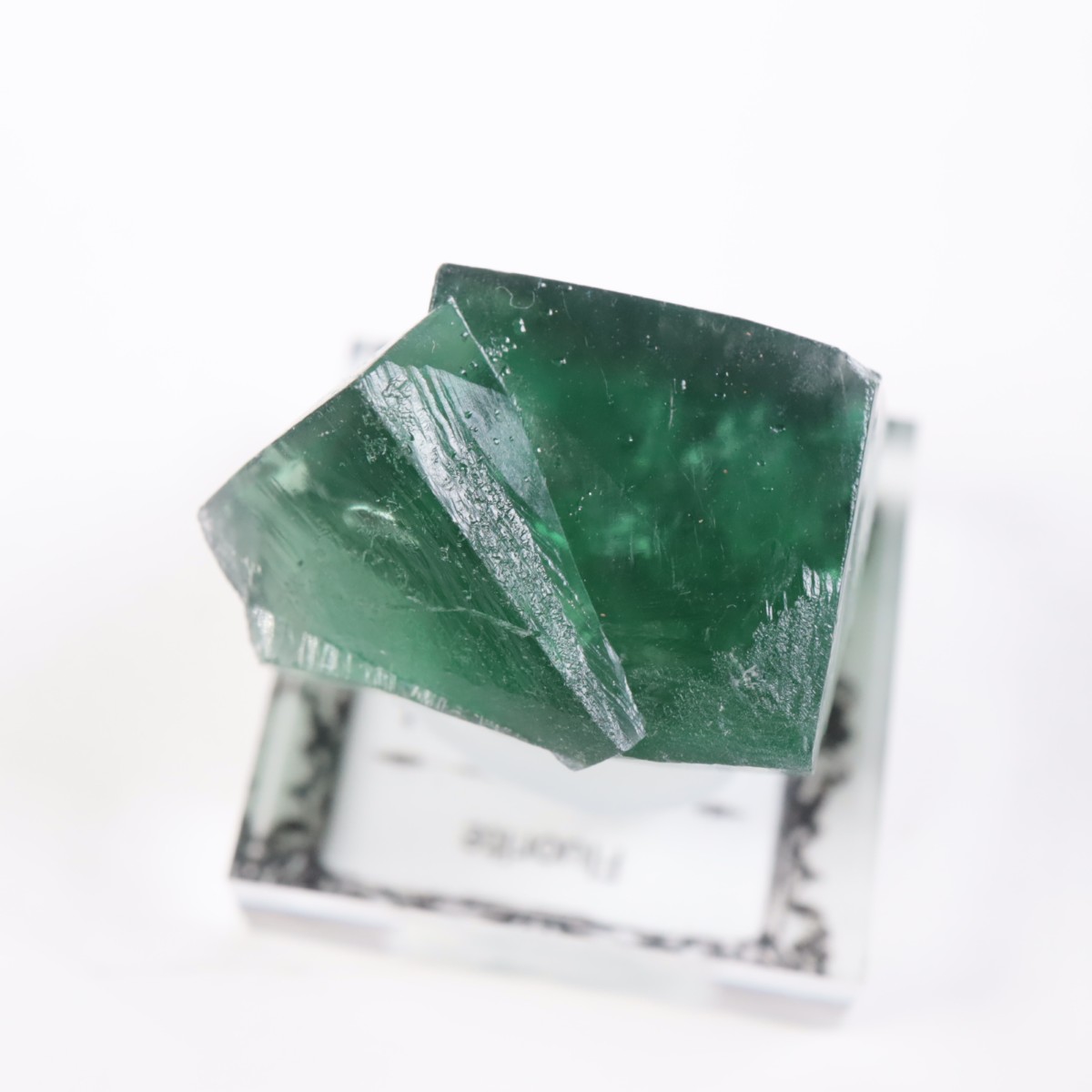 Greedy Hog Pocket�� �ե����饤��