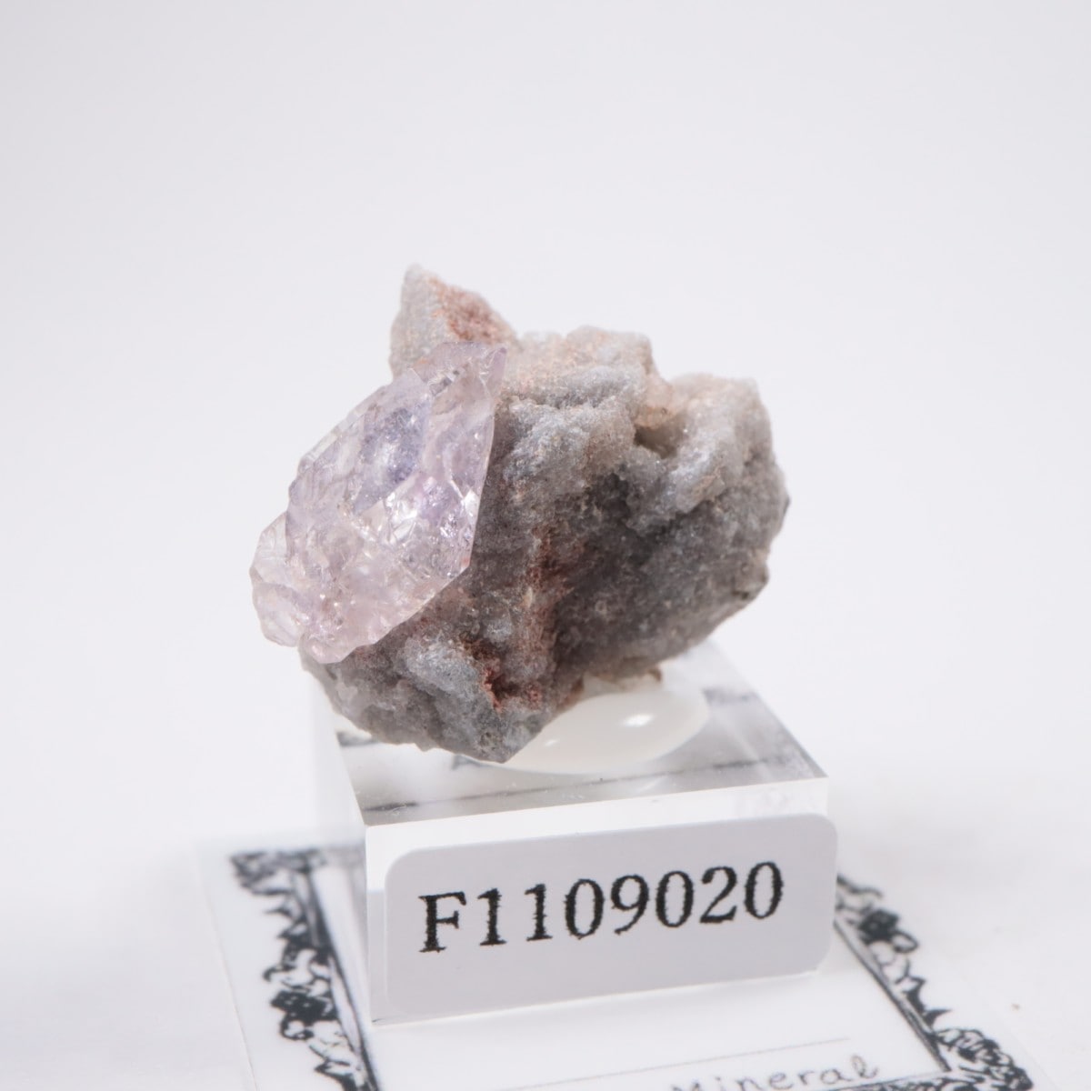 �ᥭ������ ���᥷����