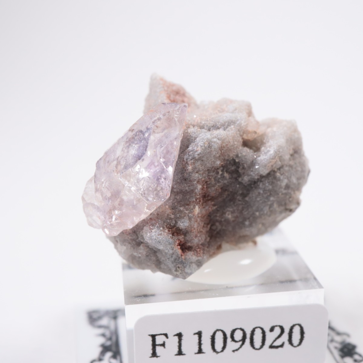 �ᥭ������ ���᥷����