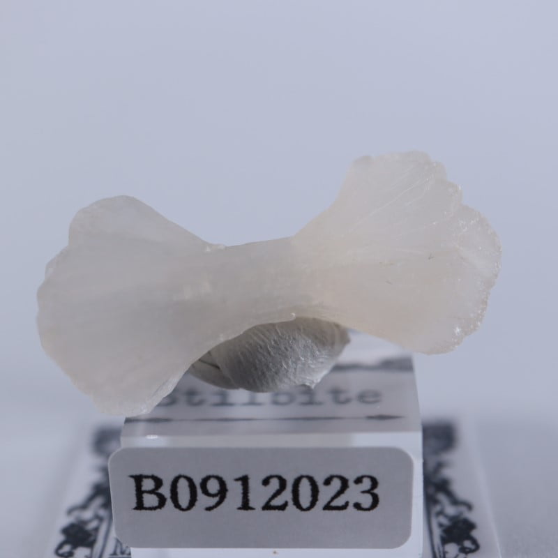 ����ɻ������ƥ���Х���