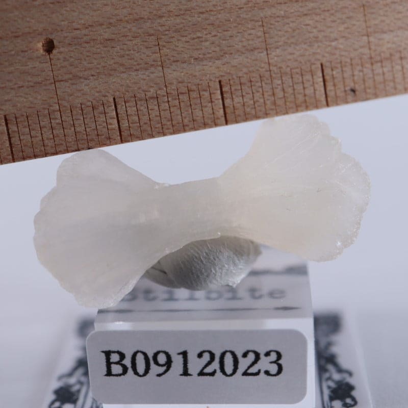 ����ɻ������ƥ���Х���