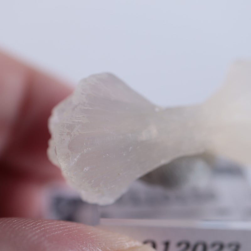 ����ɻ������ƥ���Х���