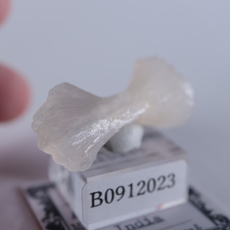 ����ɻ������ƥ���Х���