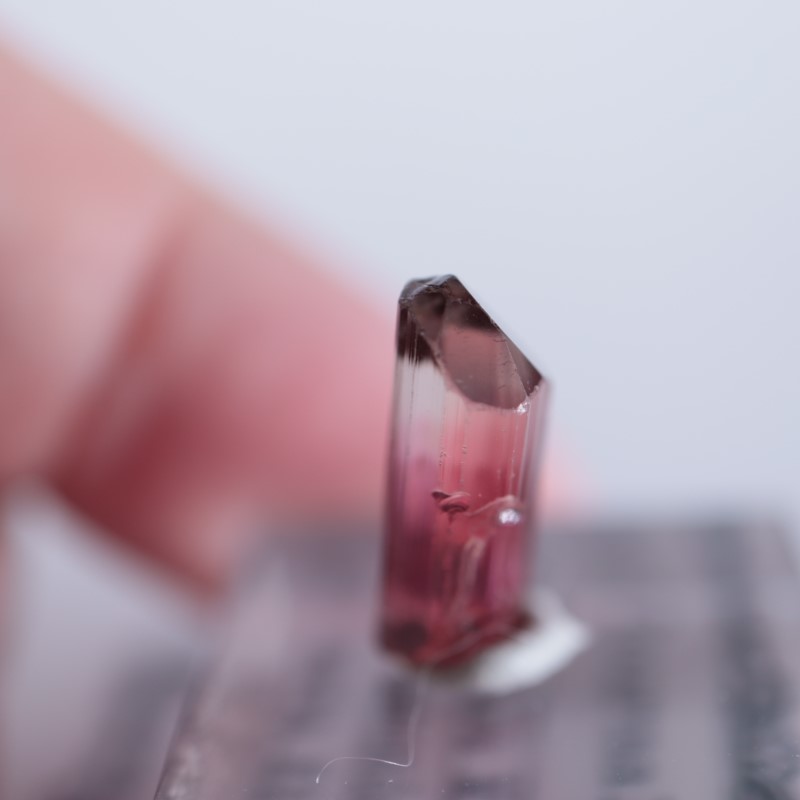 Rubaya鉱山 トルマリン | 鉱物標本,タ行,トルマリン/電気石 | ほたるみ