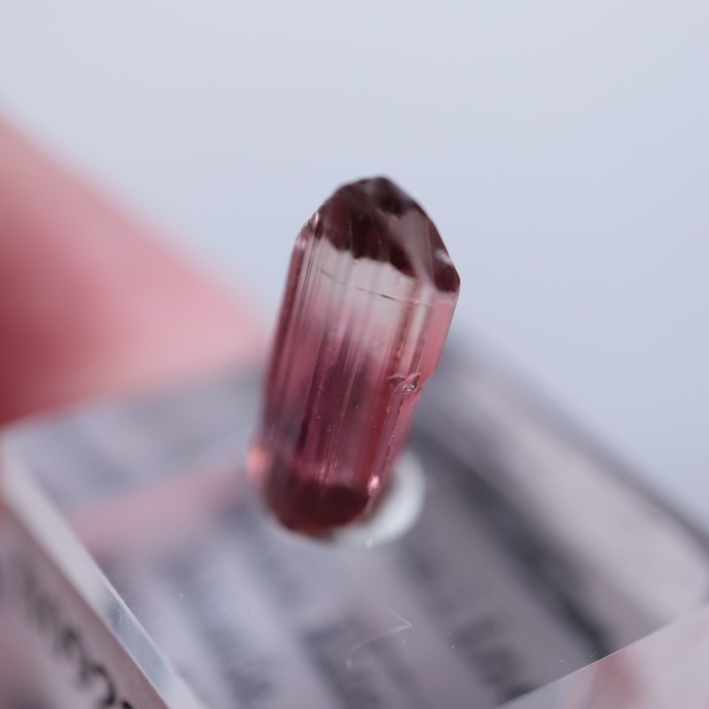 Rubaya鉱山 トルマリン | 鉱物標本,タ行,トルマリン/電気石 | ほたるみ