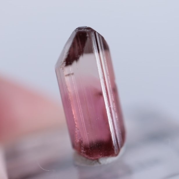 トルマリン　コンゴ　rubaya 鉱物標本 Rubaya鉱山 トルマリン | 鉱物標本,タ行,トルマリン/電気石 | ほたるみ