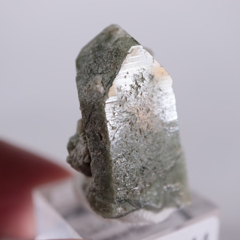 パキスタン産 クローライトインクォーツ | 鉱物標本,カ行