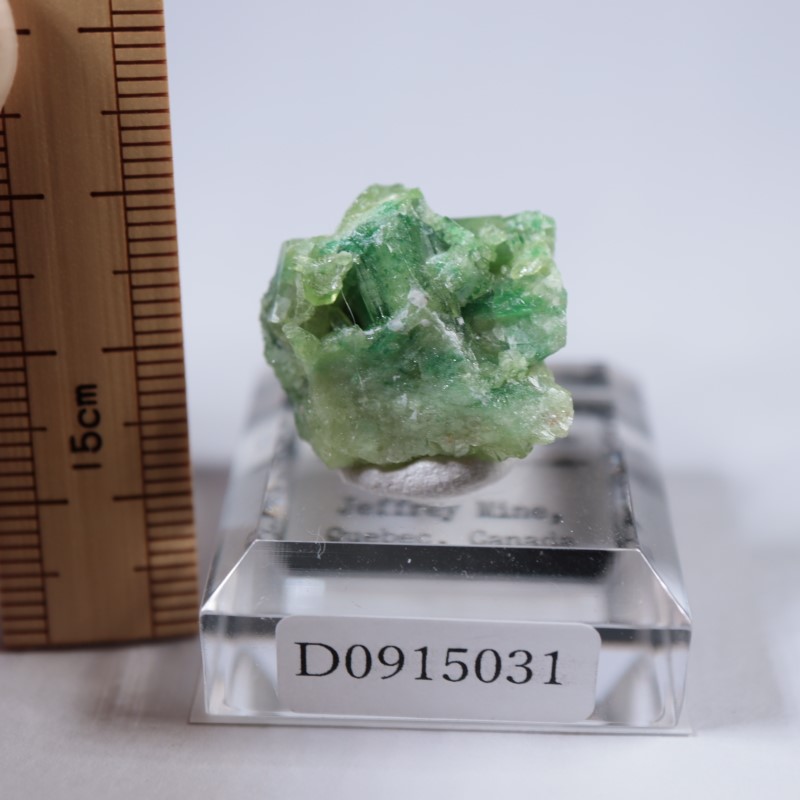 ジェフリー鉱山 ベスビアナイト | 鉱物標本,ハ行,ベスビアナイト