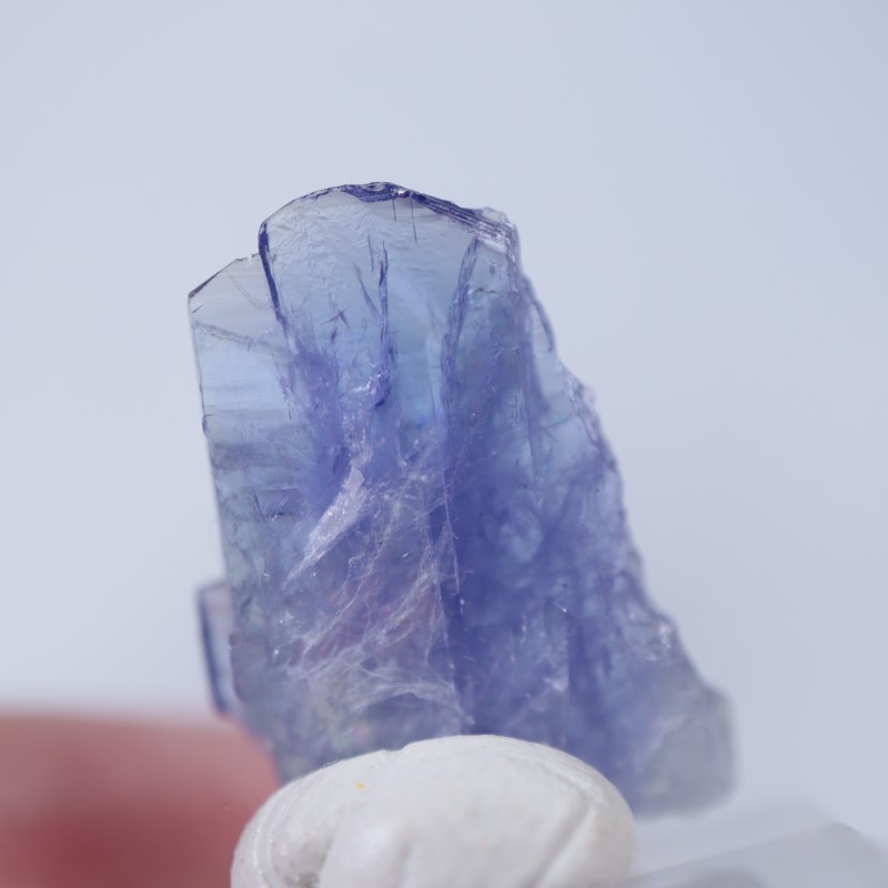 メレラニヒルズ産 タンザナイト | 鉱物標本,タ行,タンザナイト