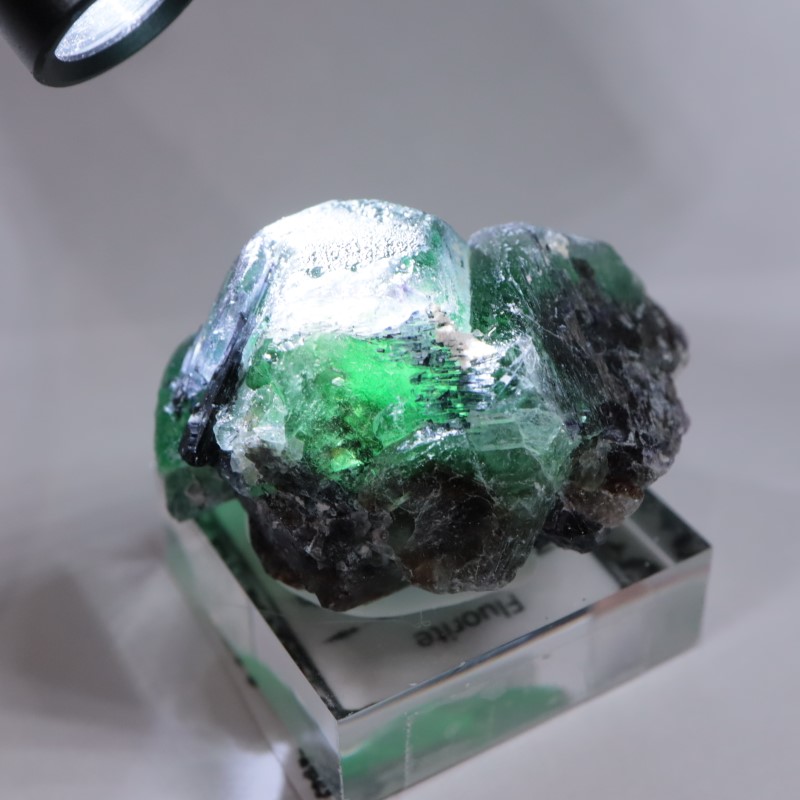 �����󥴹ۻ����ե����饤��