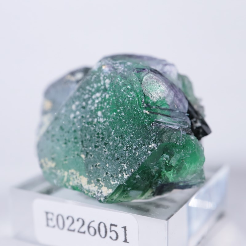 �����󥴹ۻ����ե����饤��