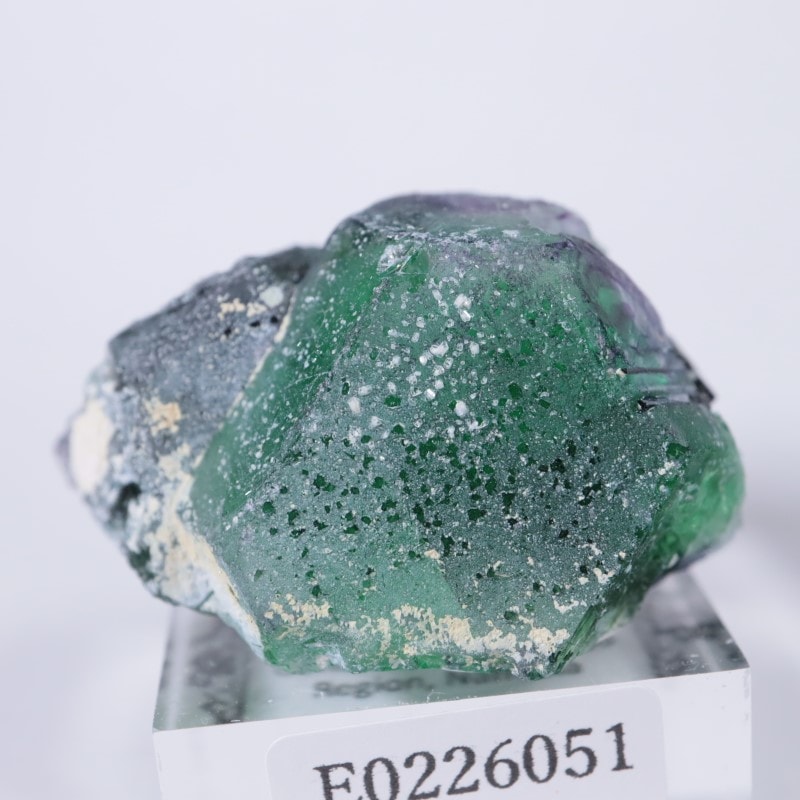 �����󥴹ۻ����ե����饤��