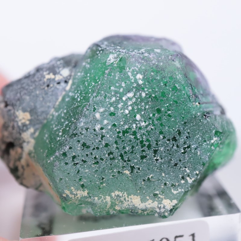 �����󥴹ۻ����ե����饤��