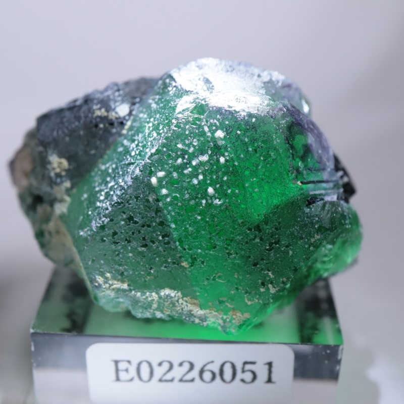 �����󥴹ۻ����ե����饤��