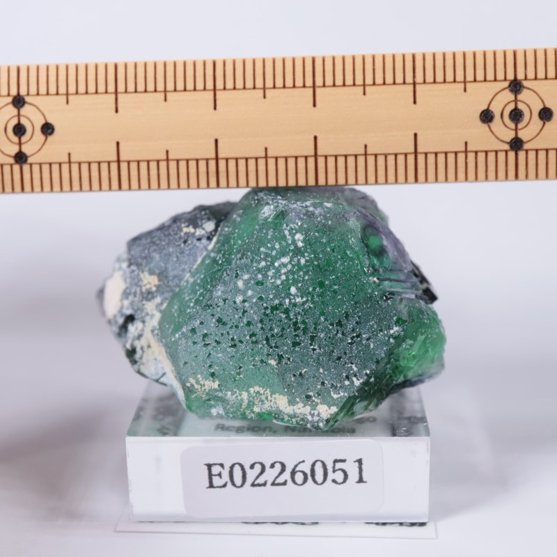 �����󥴹ۻ����ե����饤��