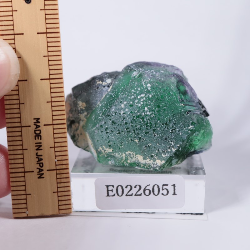 �����󥴹ۻ����ե����饤��