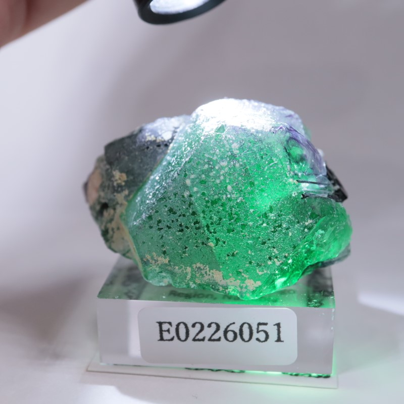 �����󥴹ۻ����ե����饤��