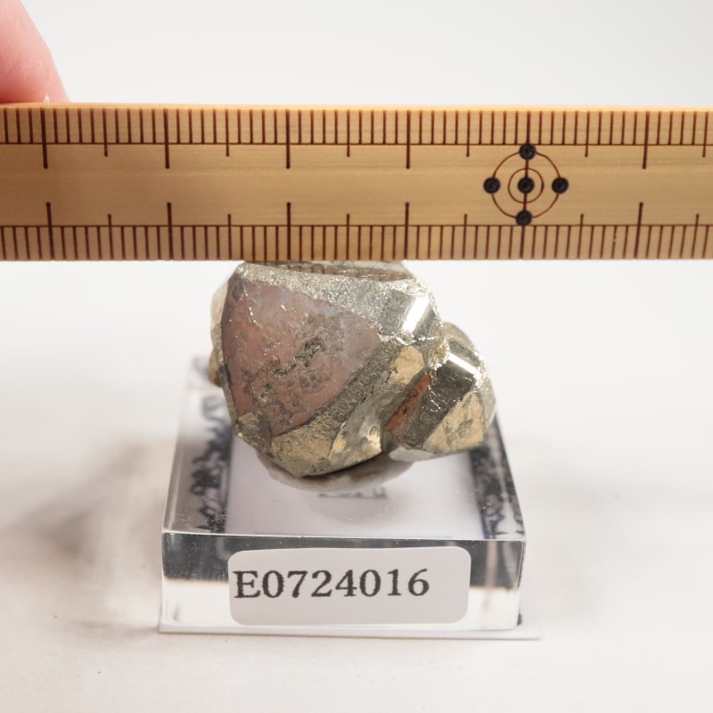 �ڥ롼�����ѥ��饤��