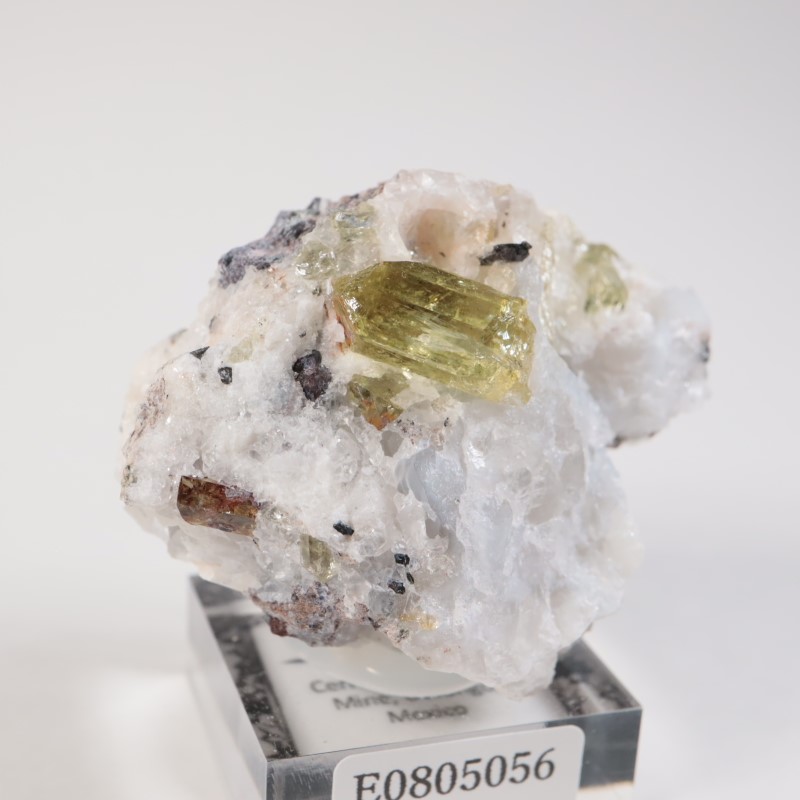 �ᥭ������ ���ѥ�����