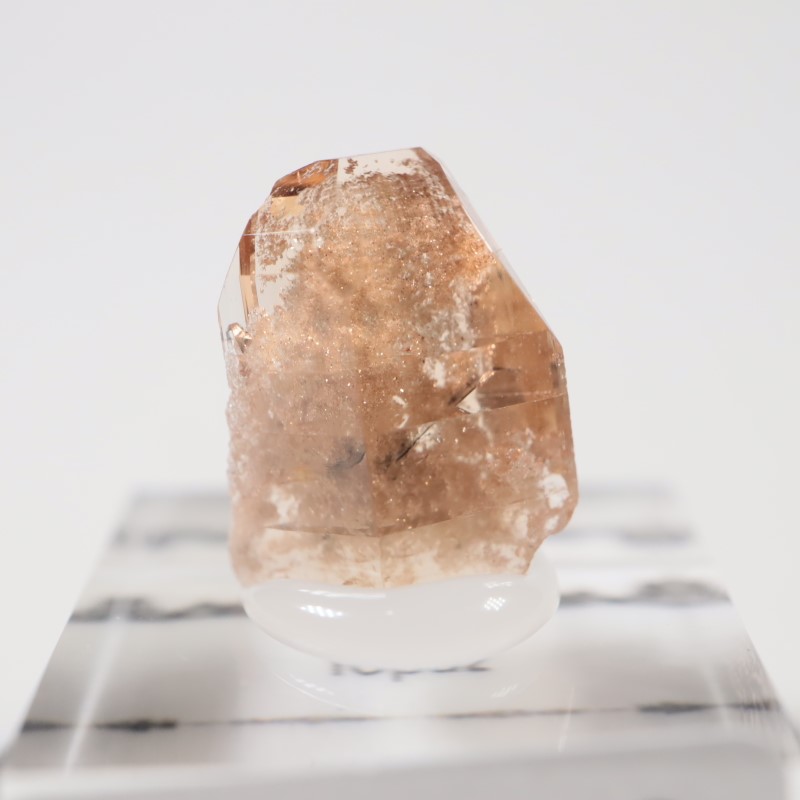 �楿���� �ȥѡ���