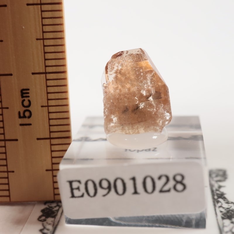 �楿���� �ȥѡ���