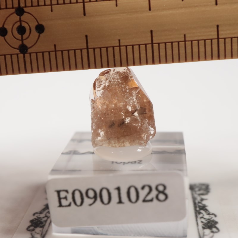 �楿���� �ȥѡ���