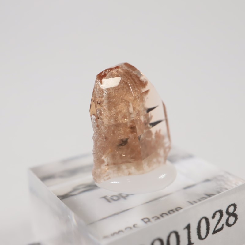 �楿���� �ȥѡ���